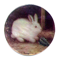 MOP - White Rabbit