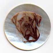 MOP - Mastiff