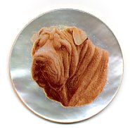 MOP - Shar Pei